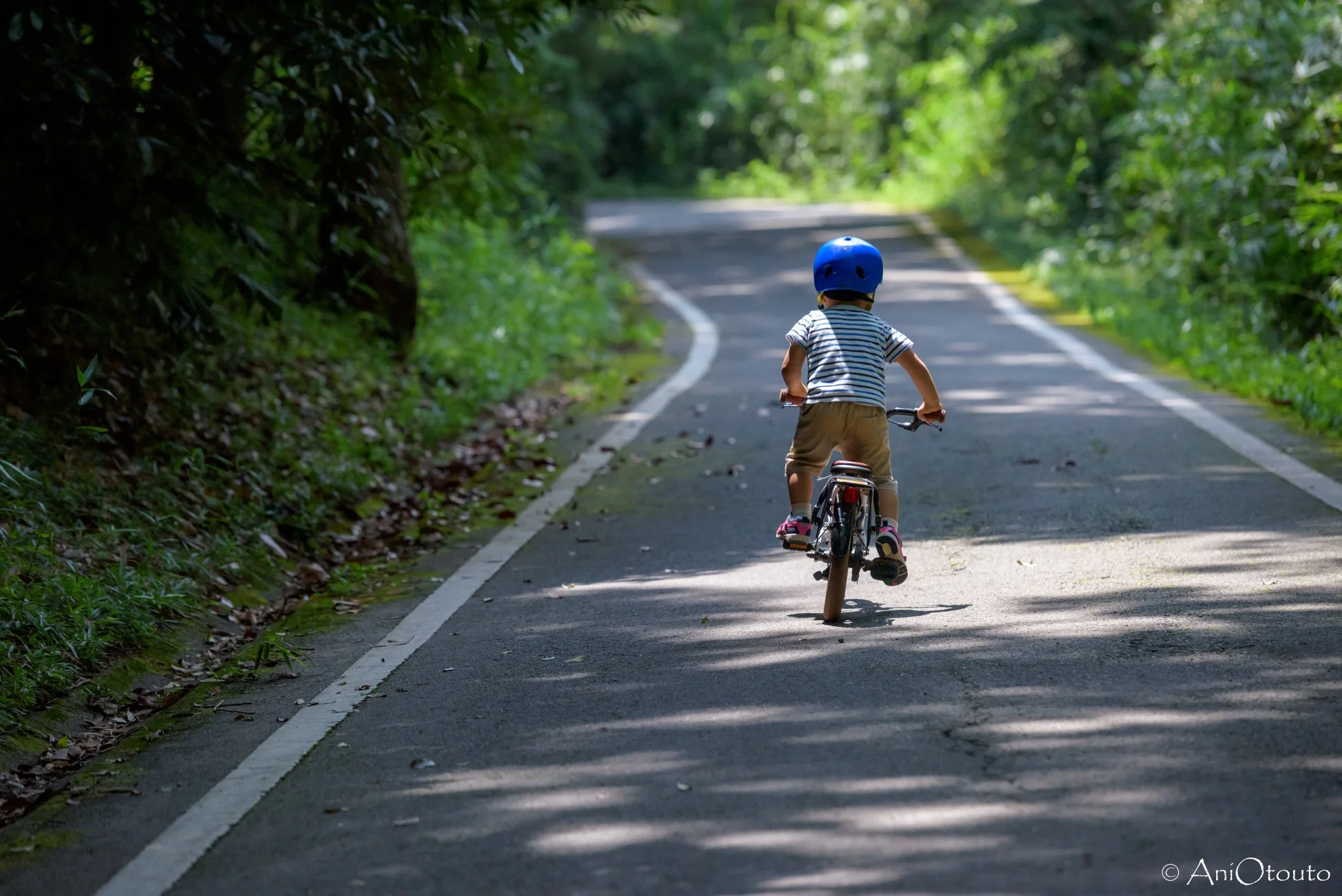 青いヘルメットをかぶった子供が、木々に囲まれた舗装された道を自転車で走っている後ろ姿です。日差しが差し込み、夏の日のサイクリングを楽しんでいる様子がうかがえます。