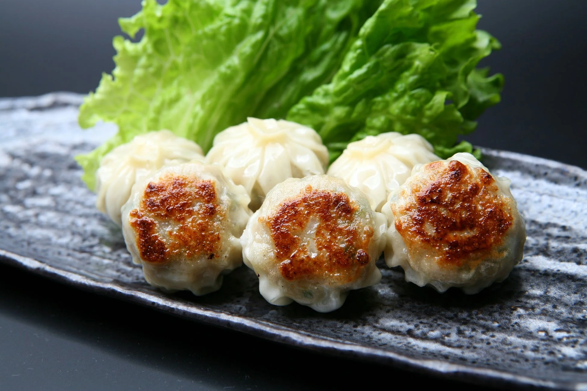 博多ひとくち餃子