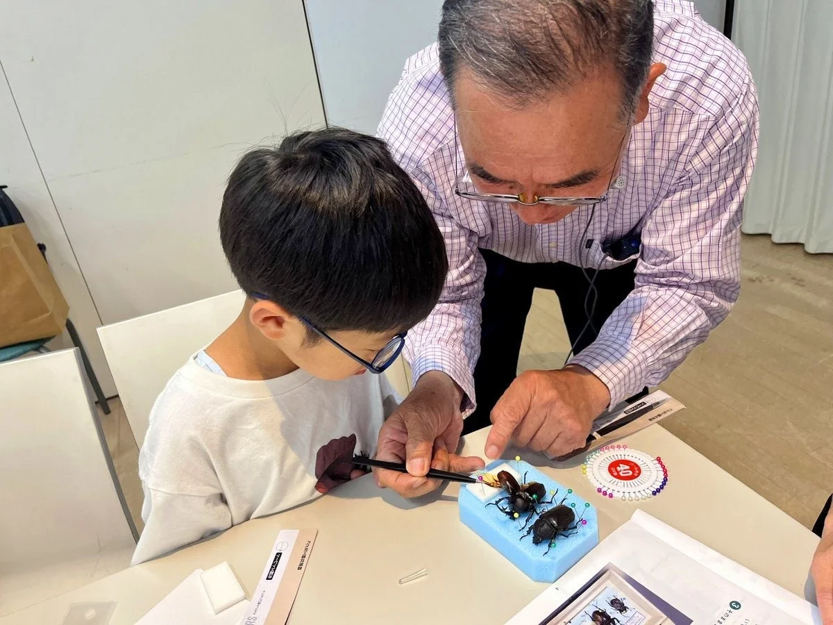 大人が子供に昆虫標本の作り方を教えている様子