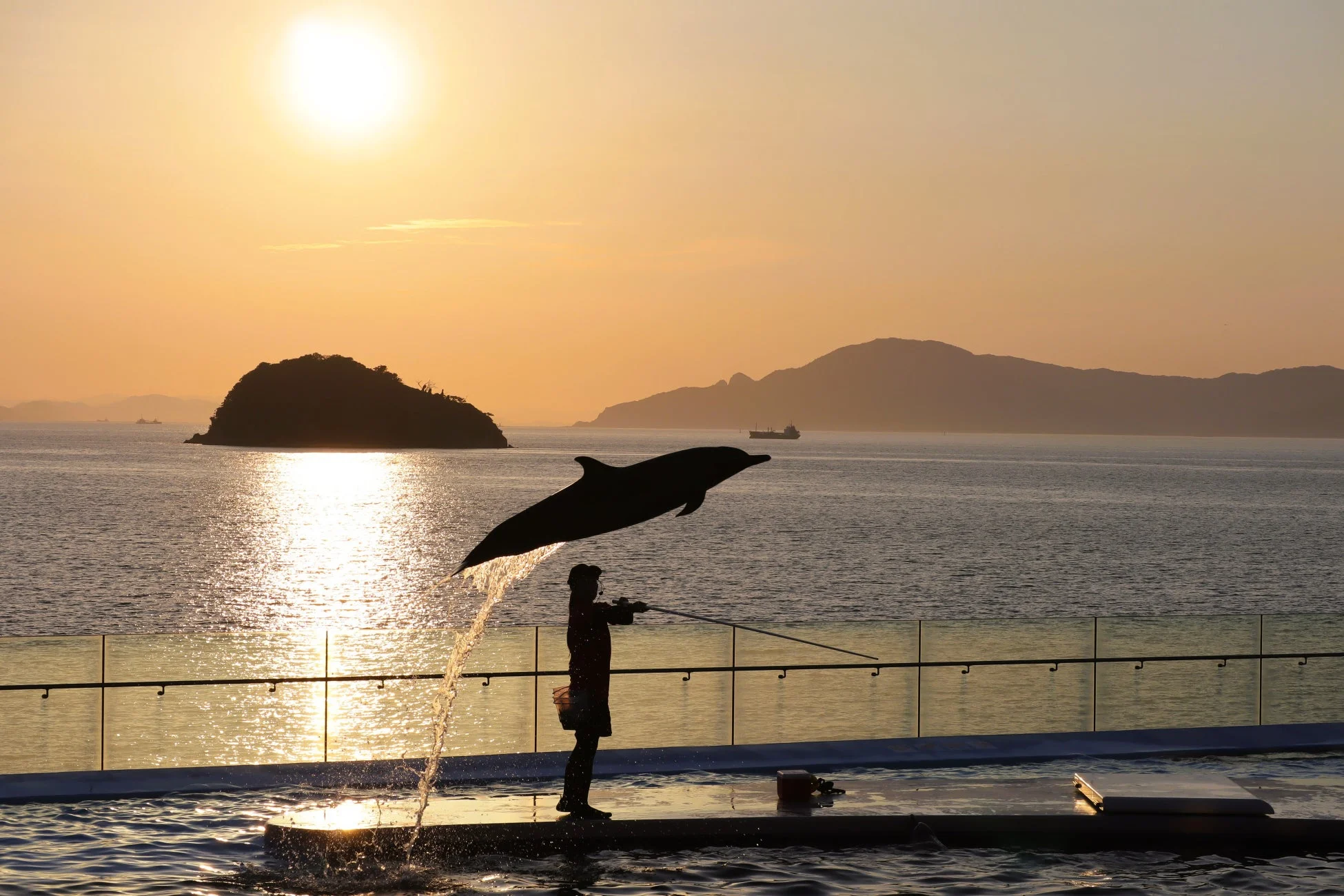 夕暮れの美しい海を背景に、トレーナーの指示でイルカが水面から高くジャンプしている瞬間